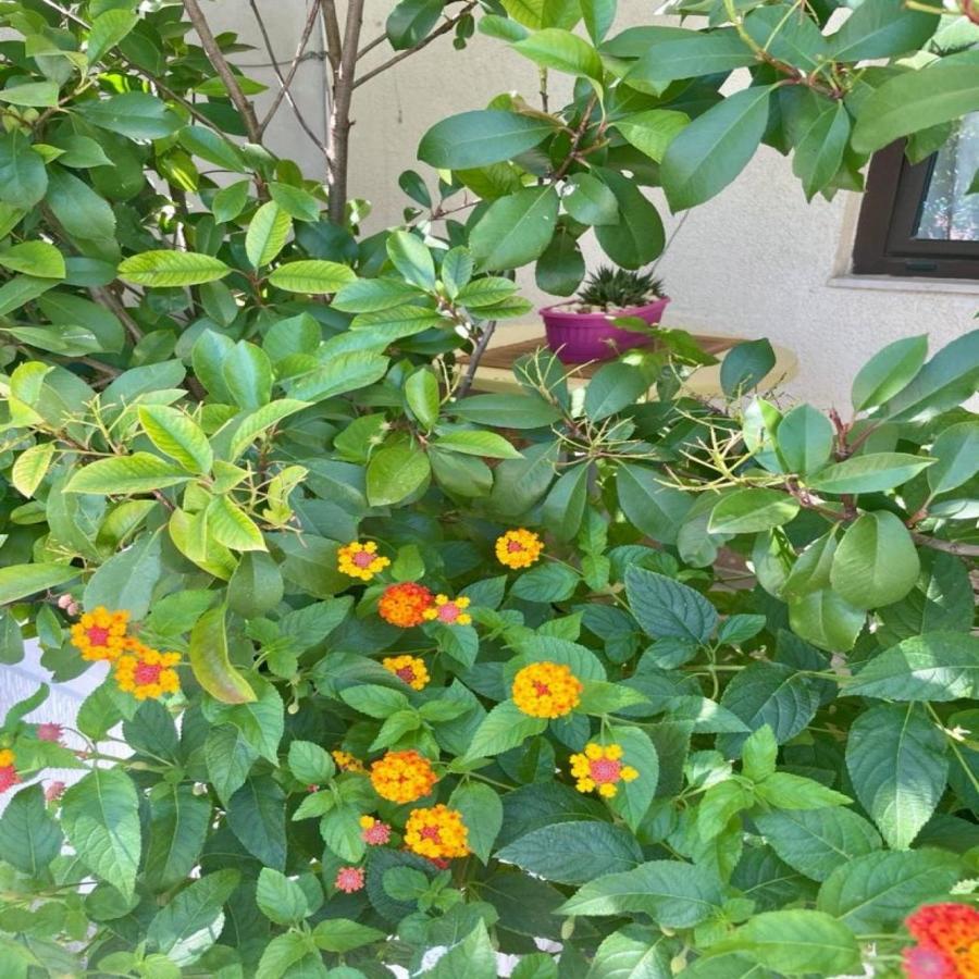 Demer Sweet Dreams Apartman Split Kültér fotó